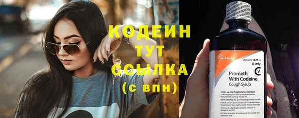 шишки Армянск