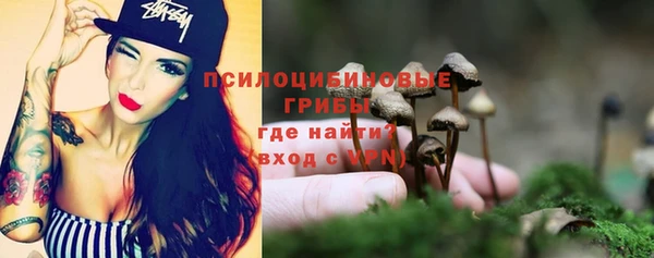 дмт Арсеньев