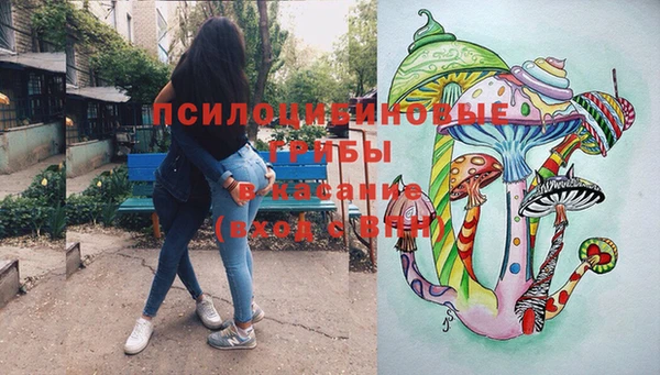 шишки Армянск