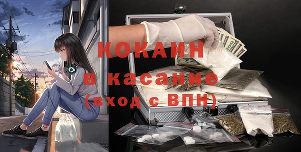стафф Аркадак