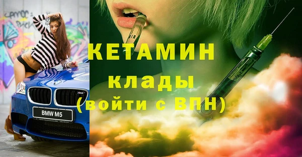 шишки Армянск