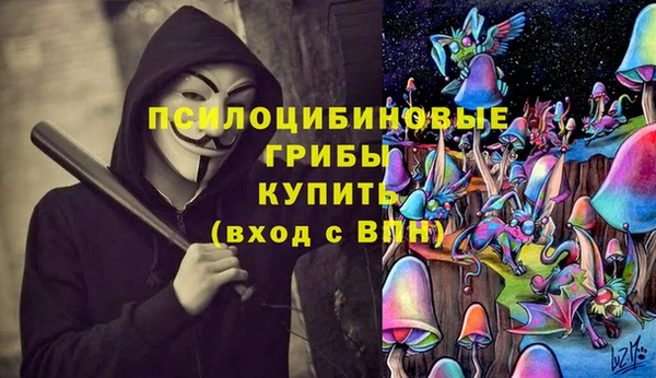 дмт Арсеньев